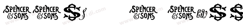 SWis57218T Heawy字体转换